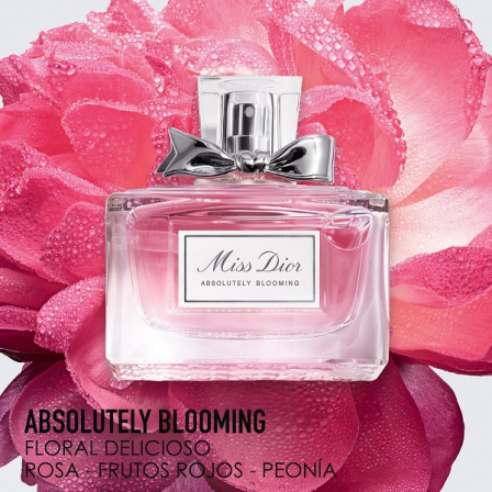 Comprar DIOR MISS DIOR ABSOLUTELY BLOOMING 
