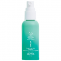 Organic Scalp & Hair Mist