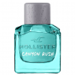 Comprar Hollister California Canyon Rush For Him