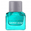 Hollister California Canyon Rush For Him  30 ml