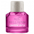 Hollister California Canyon Rush For Her  50 ml