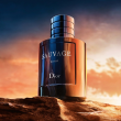 Comprar DIOR SAUVAGE ELIXIR