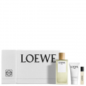 Cofre Aire Loewe