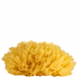 Comprar Suavipiel Baby Natural Sea Sponge