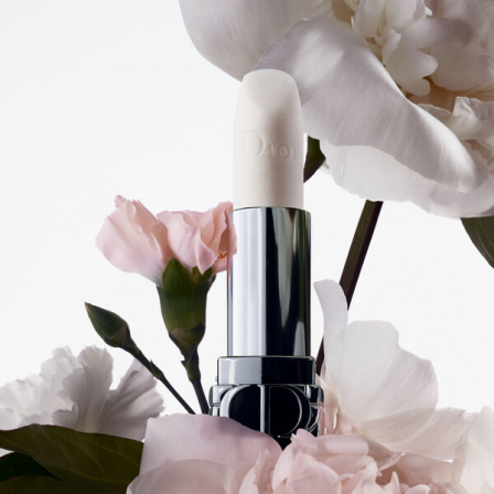 Comprar DIOR ROUGE DIOR