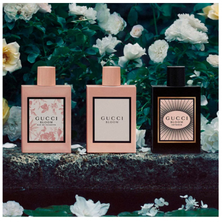 Comprar Gucci Gucci Bloom Intense