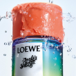 Comprar Loewe PAULA'S IBIZA ECLECTIC