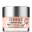 CLINIQUE Moisture Surge 100H  50 ml