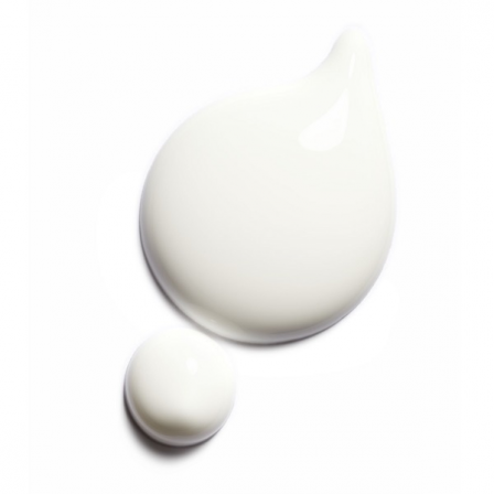 Comprar CHANEL BODY EXCELLENCE