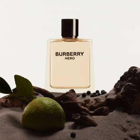 Comprar Burberry Burberry Hero 