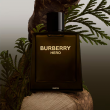 Comprar Burberry Burberry Hero 