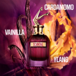 Comprar Jean Paul Gaultier Scandal