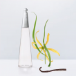 Comprar Issey Miyake L'Eau d'Issey
