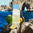 Comprar Dolce & Gabbana Light Blue