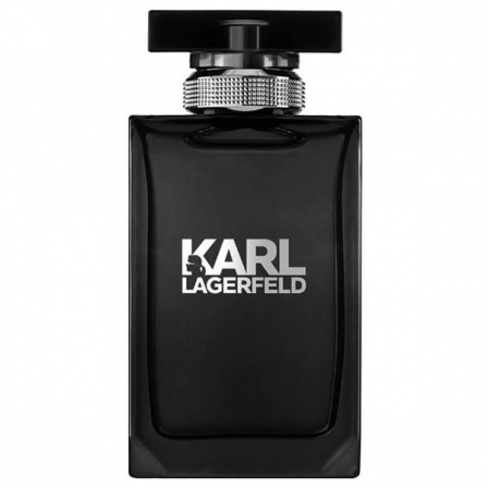 Comprar Karl Lagerfeld Pour Homme