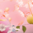 Comprar CHANEL CHANCE EAU TENDRE