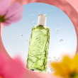 Comprar Lancôme Ôff Now 