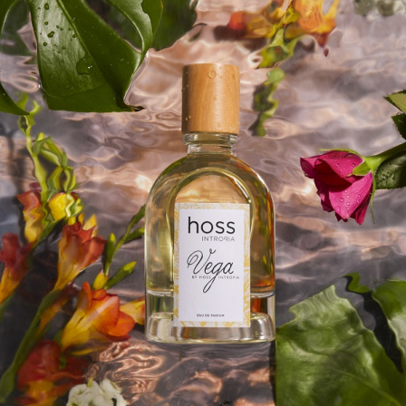 Comprar Hoss Intropia  Vega