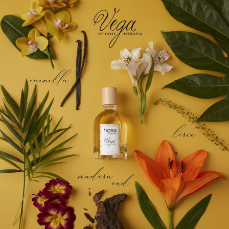 Comprar Hoss Intropia  Vega