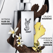 Comprar Yves Saint Laurent MY SLF L'Absolu