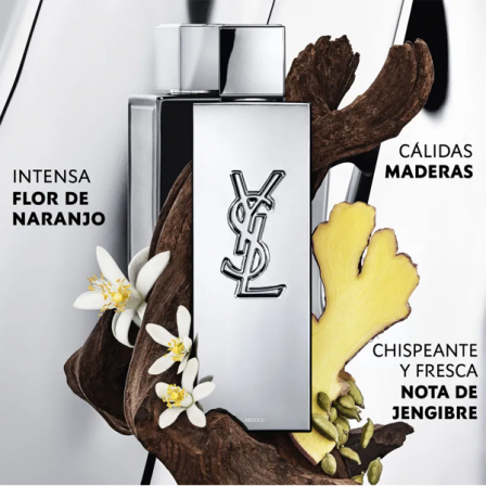 Comprar Yves Saint Laurent MY SLF L'Absolu