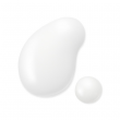 Comprar Sensai Absolute Silk Cleansing Milk