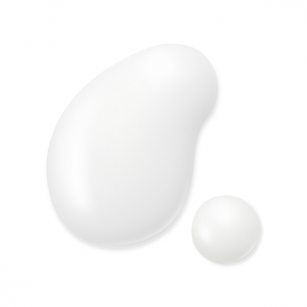 Comprar Sensai Absolute Silk Cleansing Milk
