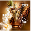 Comprar Jean Paul Gaultier Parfum