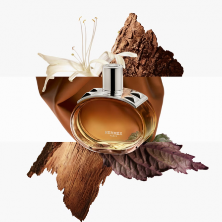 Comprar Hermès Barénia