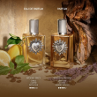 Comprar Dolce & Gabbana Devotion Male