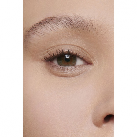Comprar CHANEL ULTRA LE TEINT LE CORRECTEUR 