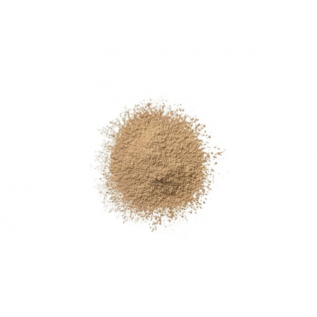Comprar CLINIQUE Polvos Sueltos Blended Face Powder