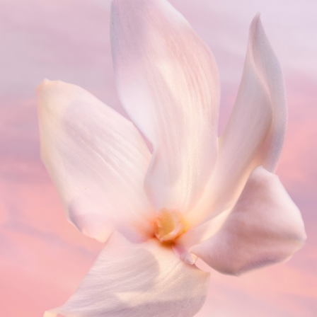 Comprar Lancôme La Vie est Belle Vanille Nude Comprar Lancôme La Vie est Belle Vanille Nude