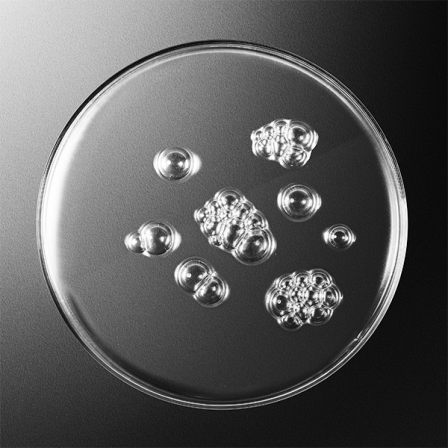 Comprar Sisley Sisleÿum Lotion Tonique Revitalisante