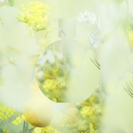 Comprar CHANEL CHANCE EAU FRAÎCHE