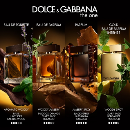 Comprar Dolce & Gabbana The One for Men
