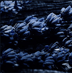 SAUVAGE SAUVAGE ELIXIR