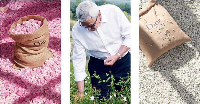 DIOR EXPERTISE DIOR EXPERTISE
