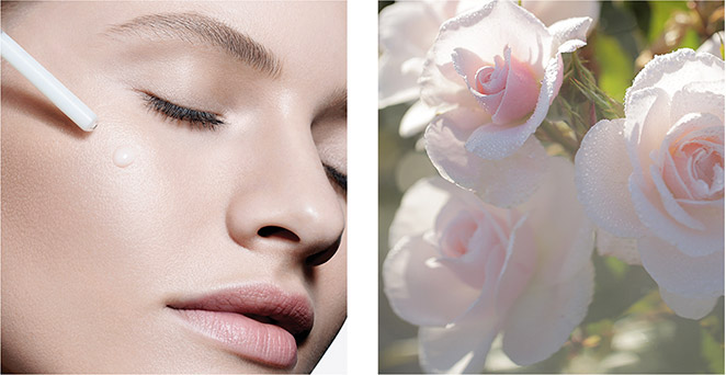 DIOR EXPERTISE DIOR EXPERTISE