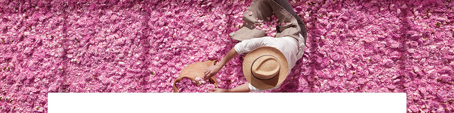 DIOR EXPERTISE DIOR EXPERTISE
