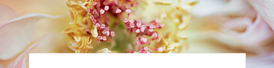 DIOR EXPERTISE DIOR EXPERTISE